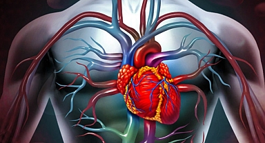 Bilim insanları uyardı: Ekran ışığı kalbi yavaşça öldürüyor