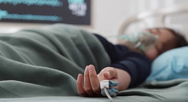 Deli dana hastalığı yeniden hortladı: Tedavisi yok!