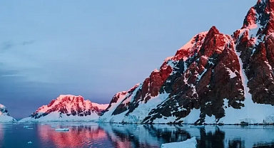 Donmuş kıtada gizemli polenler: Antarktika orman mıydı?