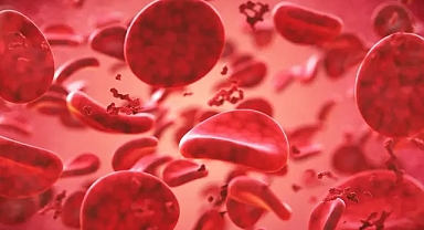 Dünyada tek kişi: Gwada negatif kan grubu keşfedildi