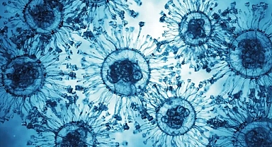 Frankenstein varyantı alarmı: Bilim dünyası yeni koronavirüs türünü izliyor