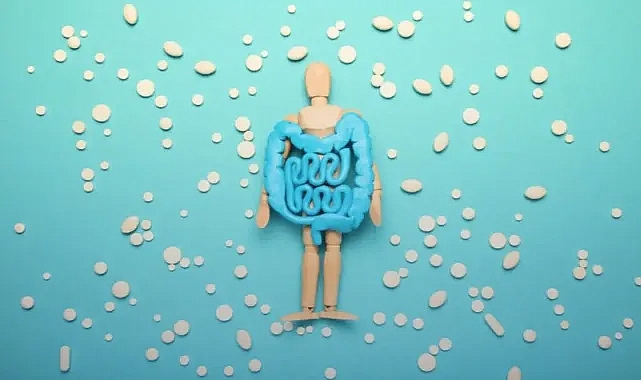 Gençleşmenin sırrı bağırsakta: Probiyotikler yaşlanmayı durduruyor