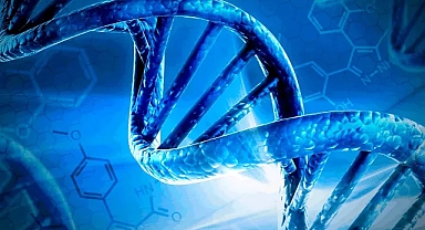 İnsanın ölümsüzlük arayışı Ay’a ulaştı: DNA’sını uzaya fırlattı