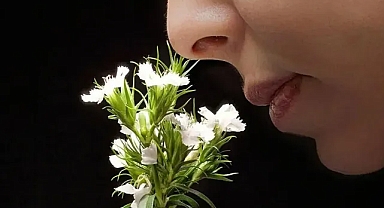 İnsanların güçlü koku hafızasının ardındaki evrimsel sır ortaya çıkıyor