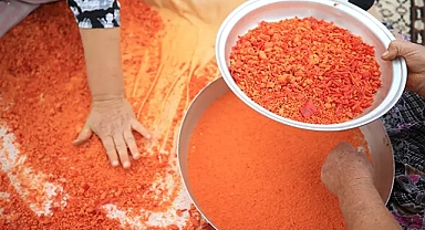 Kışın hasta olmamak için ev tarhanası şart: Anadolu’nun doğal koruyucusu yeniden gündemde