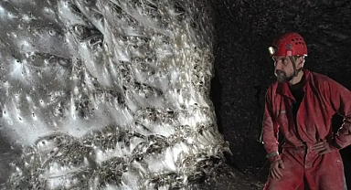 Yunanistan-Arnavutluk sınırında 111 bin örümcekten oluşan dev koloni bulundu