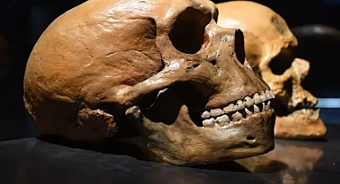 Yunxian-2 fosili insanlığın tarihini 500 bin yıl geriye çekti