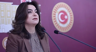 DEM Parti’den Meclis’e barış yasası çağrısı: siyaset mi çözüm mü