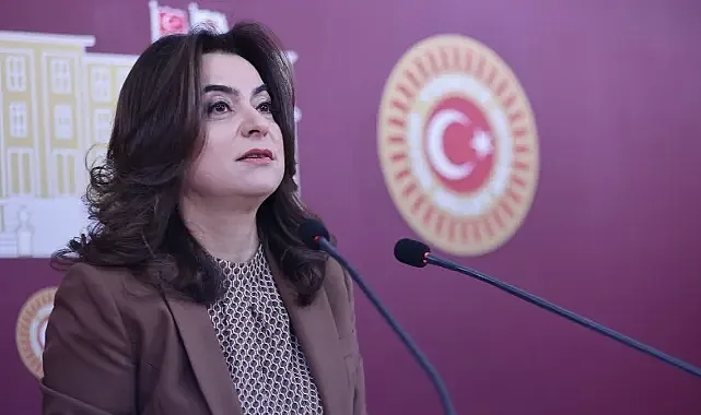 DEM Parti’den Meclis’e barış yasası çağrısı: siyaset mi çözüm mü