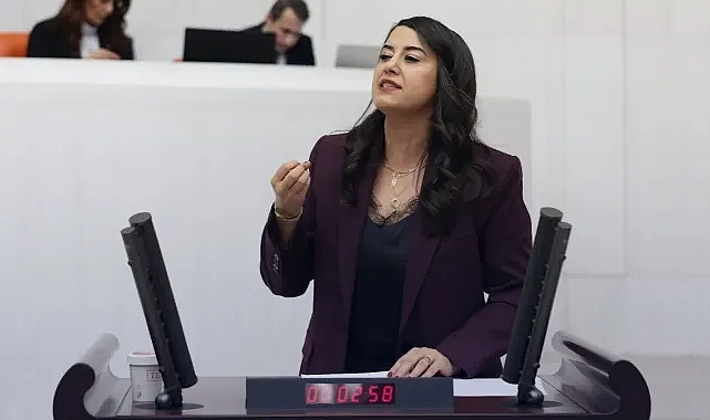 DEM Partili Ayan: Adaleti resmen yurt dışı turizmi haline getirdiniz