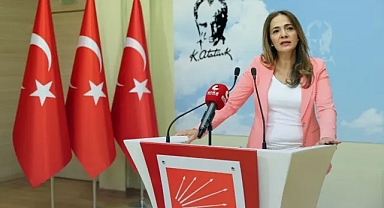 Gamze Akkuş İlgezdi asgari ücreti sosyal bir çöküşün belgesi olarak niteledi