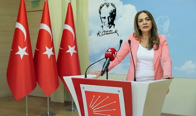 Gamze Akkuş İlgezdi asgari ücreti sosyal bir çöküşün belgesi olarak niteledi