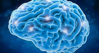 Matrix gerçek oluyor: Beyne dosya yükle, saniyede 'süper insan' ol