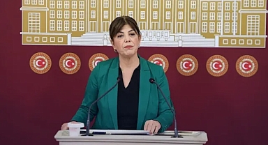 Meral Danış Beştaş'tan komisyona: Barış dememek için kırk dereden su getiriyorlar