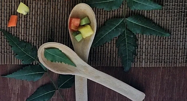 Uzmanlar tartışmayı bitirdi: Tahta kaşık bakteri yuvası mı?