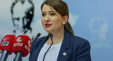 Gökçe Gökçen, barış bildirisi davasındaki 10 yıllık gecikmeyi Meclis’e taşıdı