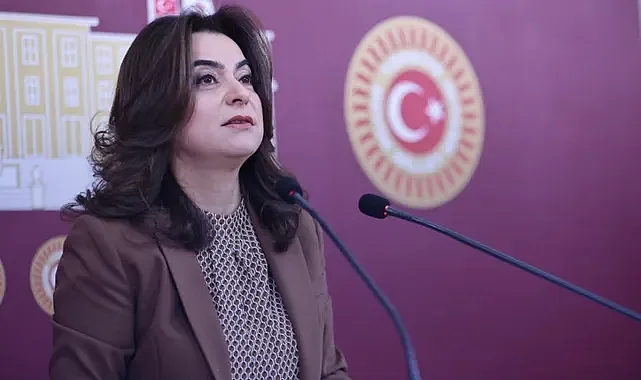 Koçyiğit: Türkiye’yi hedef alıp soykırım suçlaması yaptı