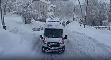 Van Çatak’ta çığ faciası: 61 yaşındaki kadın yaşamını yitirdi