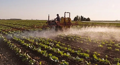Çiftçiler dikkat: Tarım ilaçları kanser riskini artırabilir