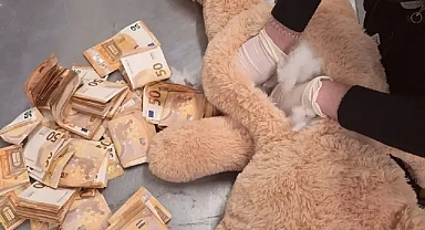 Hollanda’da oyuncak ayının içinden 50 bin euro çıktı