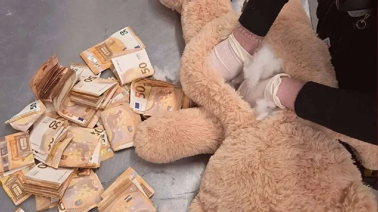 Hollanda’da oyuncak ayının içinden 50 bin euro çıktı